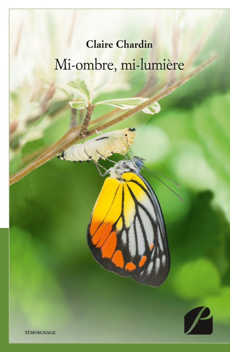Mi-ombre, mi-lumière