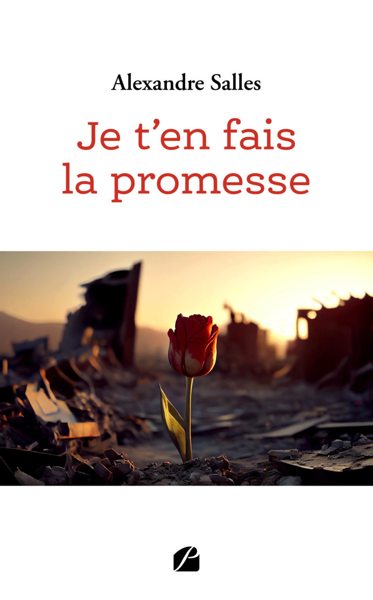 Je t’en fais la promesse